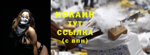 гидра Горнозаводск