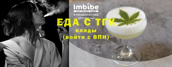 гидра Горнозаводск