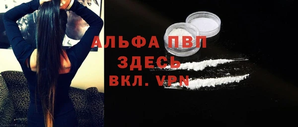гидра Горнозаводск