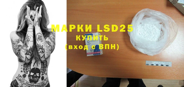 гидра Горнозаводск
