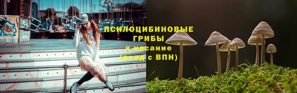 гидра Горнозаводск