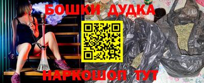 спиды Новозыбков