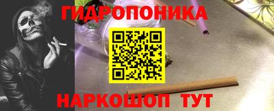 прущие грибы Нягань