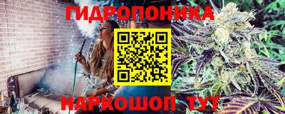 а пвп мука Новодвинск