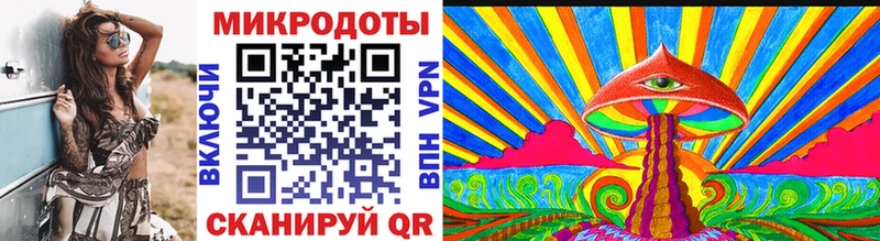 купить наркоту  Моршанск  Псилоцибиновые грибы Psilocybe 