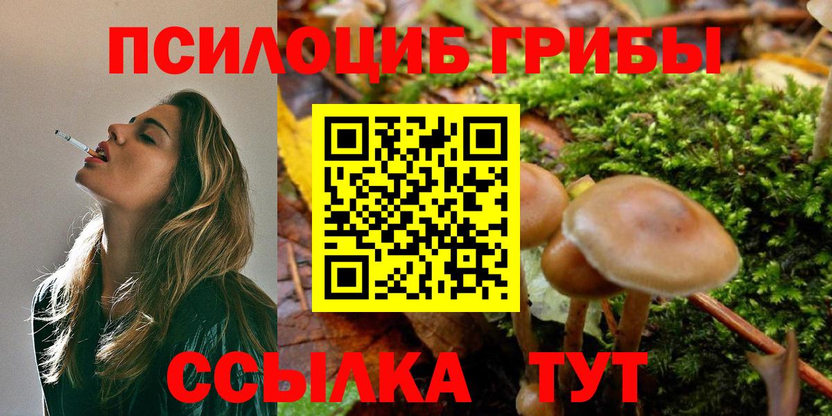 Галлюциногенные грибы Psilocybe  Галлюциногенные грибы MAGIC MUSHROOMS  Моршанск 