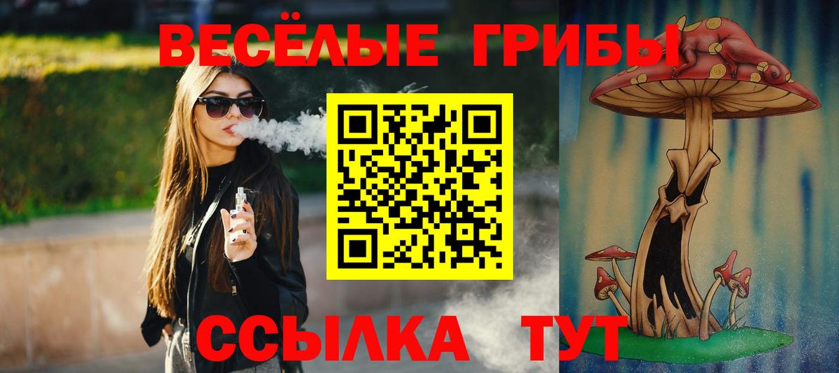 где продают наркотики  Галлюциногенные грибы мухоморы  Вход с VPN  Моршанск  Галлюциногенные грибы Cubensis 